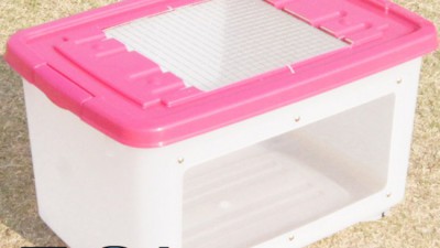 📦 우리집 고슴도치, 꿀잠 보장! 고슴도치박스 솔직 후기 & 꿀팁 🐹✨