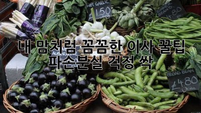 내 맘처럼 꼼꼼한 이사 꿀팁🍯 파손/분실 걱정 싹!